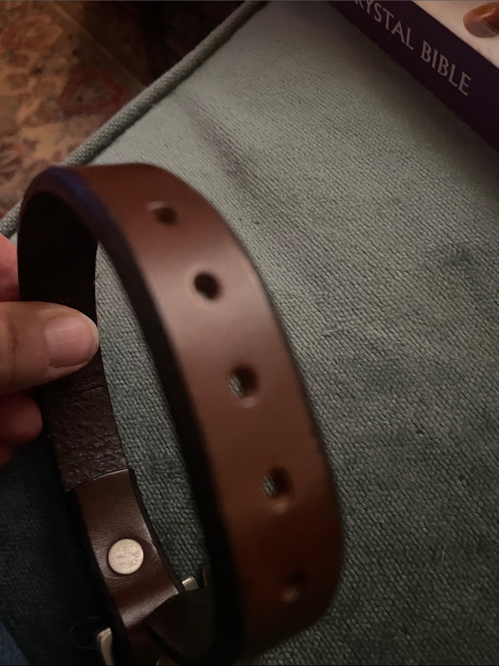 Coach Brown Leather small dog collar - Picture 4 of 4